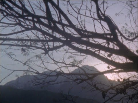 Sol Piedra Agua - Trailer