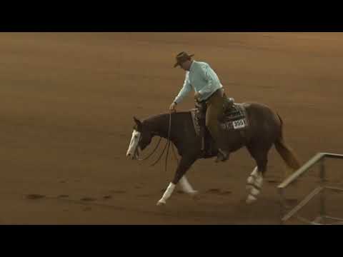 181014 Open Sam Schaffhauser on Lil Rene Gun