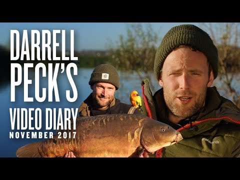Darrell Peck's Video Diary – November 2017