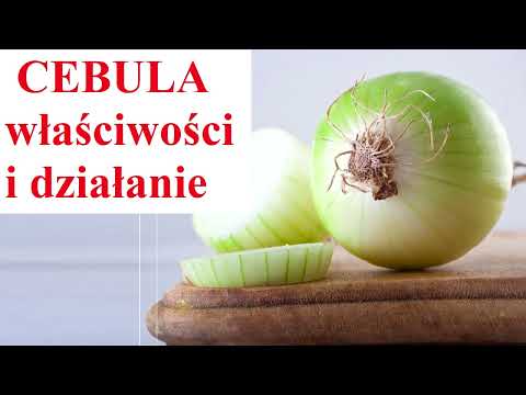 CEBULA - właściwości i działanie