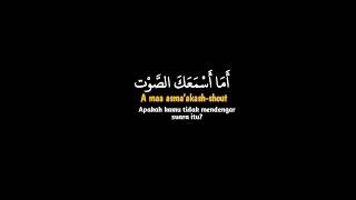 Download lagu Syair Aya Man Yadail fahm (Syeikh Misyari Rasyid) #syairmerdu #syeikhmisyarirasyidalafasy mp3