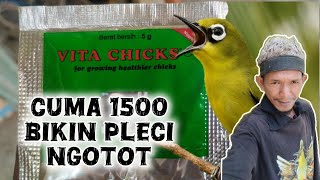 Download lagu How to use Vitacik for Pleci birds mp3