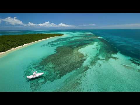 Florida Dominates Boating & Fishing.. Here's Why.