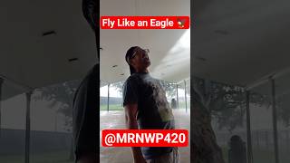 Fly Like an Eagle (Steve Miller Band Cover) - @MRNWP420