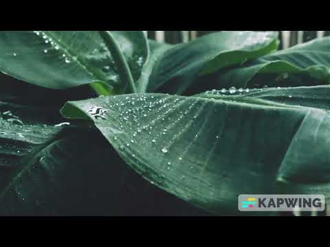 DJ Ksb,Charlotte Lyf & Lowsheen  - Dwala Lam