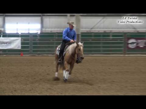 2016 04 08 Devin Warren & Its A Magnum-AQHA Open CPRHA Midwest Classic