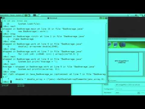 Mixed Language Development Leveraging Native Code From Java