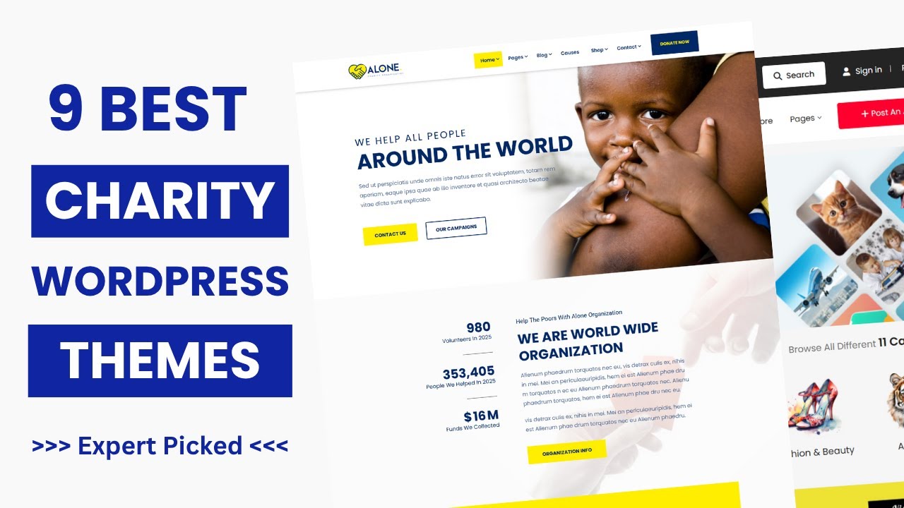 9 Best Charity & Non Profit WordPress Themes