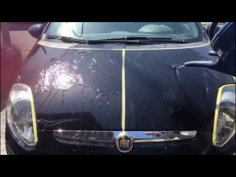 Sheeting NEOWAX Autowachs, Car Wax No1