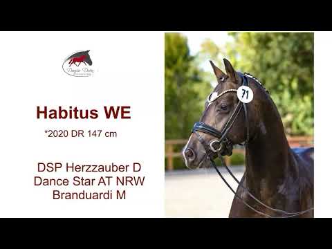 Habitus WE *2020 by DSP Herzzauber x Dance Star AT NRW