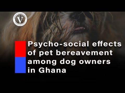 Psycho-social effects of pet bereavement among dog owners in Ghana | A study
