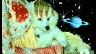 Latoiya Williams-Fallen Star.avi