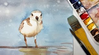 Animals #3 - Watercolor Painting of a Beach Bird