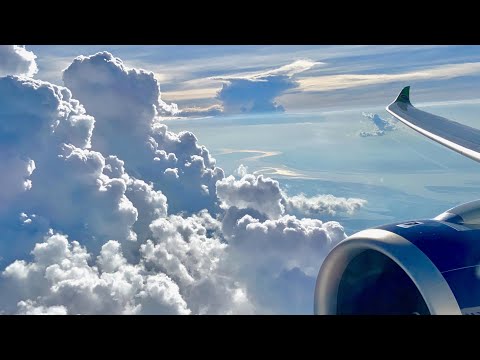 A330NEO AZUL decolando com um lindo visual de Manaus