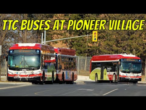 TTC Buses at Pioneer Village (March 2021)