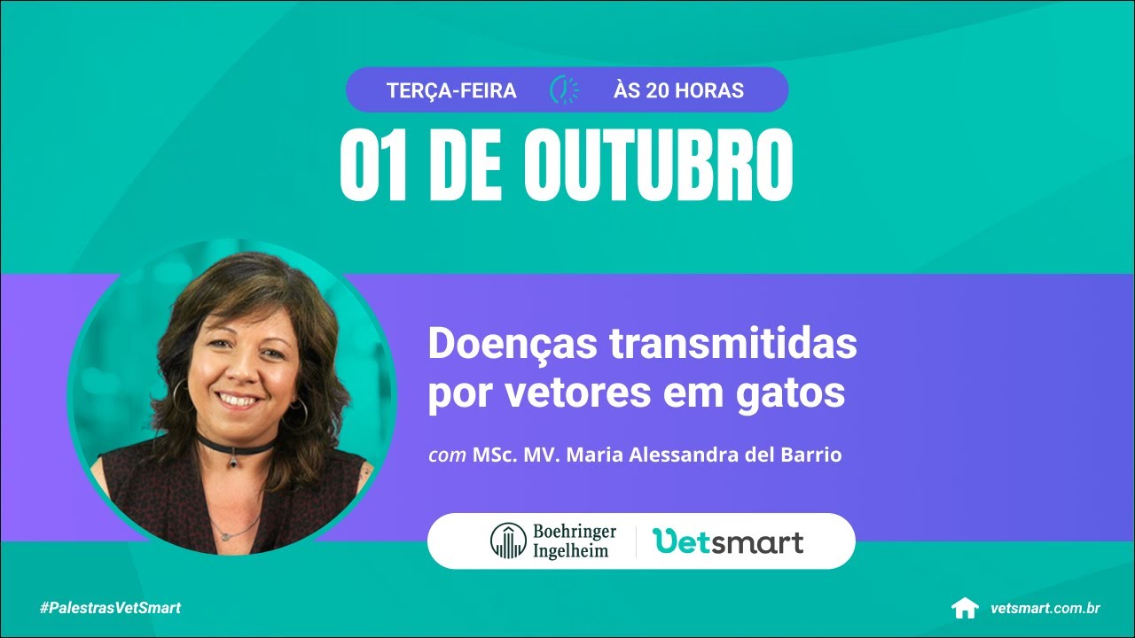 Doenças transmitidas por vetores em gatos
