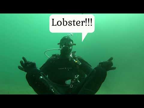 Diving for Lobsters at the Channel islands (Anacapa) on Oct  4th 2020