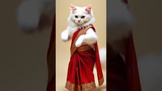 Cute Animals GET Their Groove On!