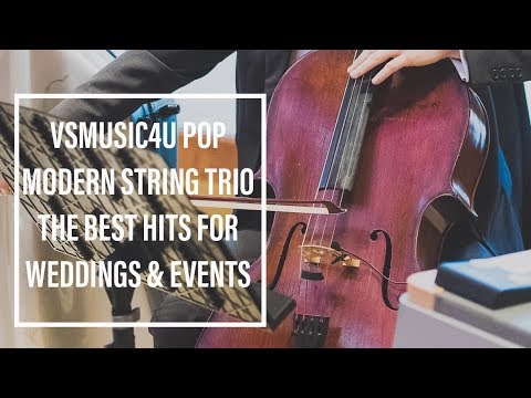 Promotional video thumbnail 8 for VSmusic4u Wedding & Event Musicians