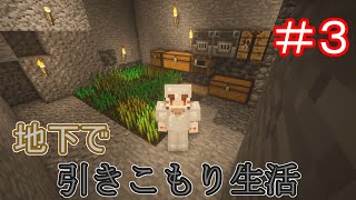 【MineCraft】地下労働で鉄を集める！　新マインクラフト　Part03【ゆっくり実況】