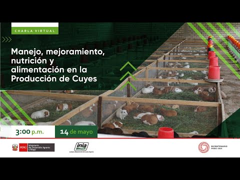 , title : 'Manejo, mejoramiento, nutrición y alimentación en la Producción de Cuyes'