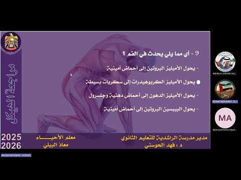 شرح الهيكل