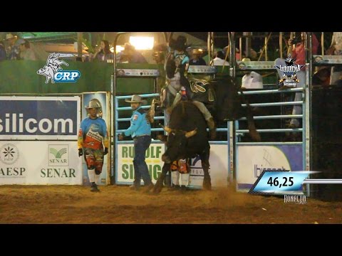 Ibirarema Rodeio Fest 2016 - MELHORES TOUROS / SÁBADO