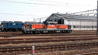 preview picture of video '2014/12/28 JR貨物 DD51-1804 稲沢駅 / JR Freight: DD51 Diesel Locomotive at Inazawa'