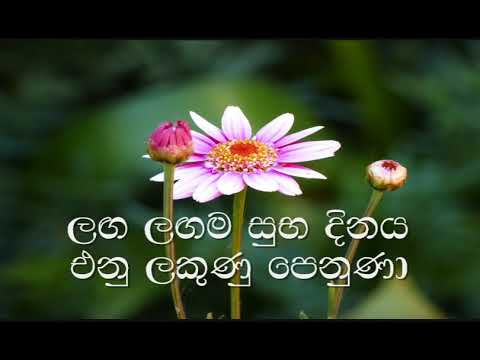 Muthu Mala Pata Sela Karaoke