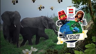 Link, Gäste, Lego und National Geographic! Livebuild von Lego National