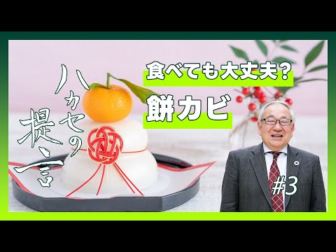 【ハカセの提言】お餅に生えたカビは安全？最適な保存方法とは~ 冬の食中毒アラート #3【五十君 靜信 センター長（食品安全研究センター）】