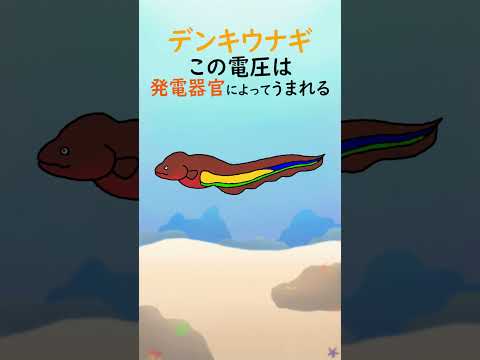 アイゲンマニアについて詳しく解説