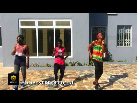 DOPESTER OFFICIAL- FALL by DAVIDO (AFRO DANCE VIDEO)