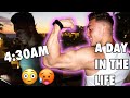A DAY IN THE LIFE OF A PERSONAL TRAINER | LEG + COMMENTARY | UPDATE ON MY MACROS
