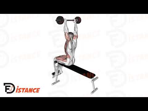 Exercice Sit-Ups avec barre