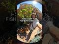 How I Get This Fisheye Lens Look On My Videos