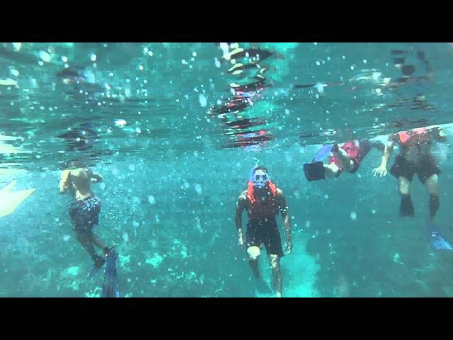 John Pennekamp Coral Reef State Park Snorkeling Trip 2014