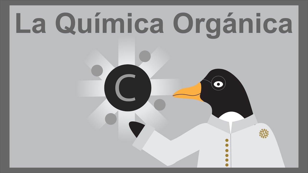 La química orgánica | ¿Qué es? ¿Qué estudia? y ¿Cómo surgió?