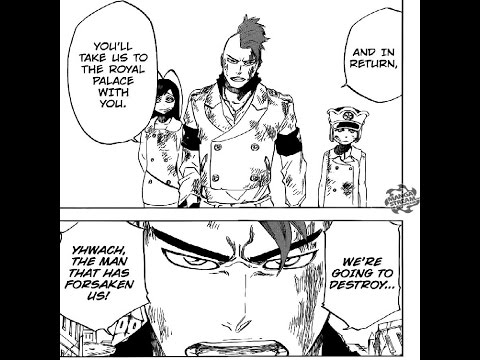 Bleach Chapter 623 Review Sternritter B stands for Sternritter Badass