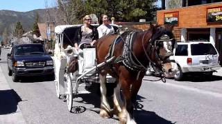 preview picture of video 'Big Bear Lake Village Horse Drawn Carriage HD'