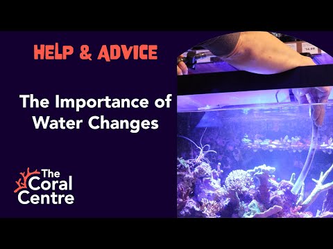 Help & Advice... The Importance of Water Changes