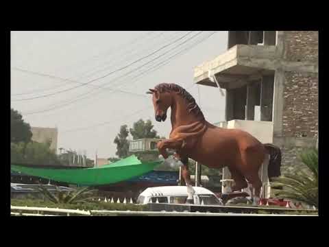 Mid term exams #vlog #trending #viral #sarwat