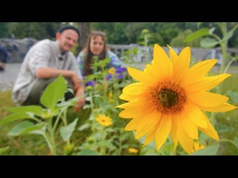 ATP Crew - Me Quedo (prod. by Disco Fu)