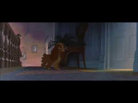 La belle et le clochard - Qu'est ce qu'un bébé