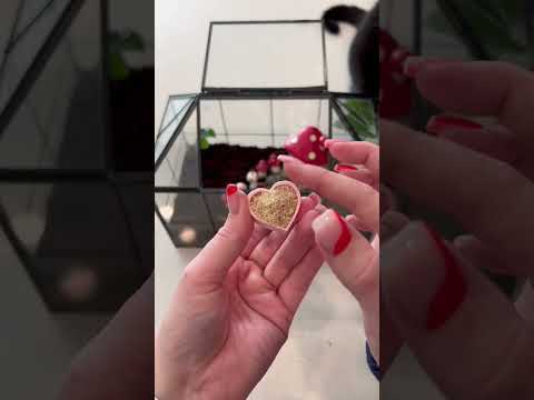 Let’s feed my snails 🐌 #snails #petsnails #snailsaspets #terrarium