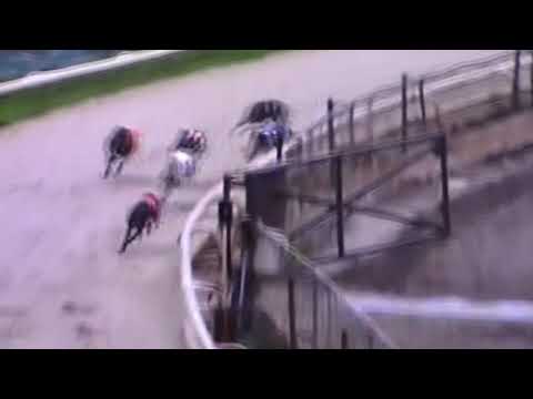 DROOPYS REEL