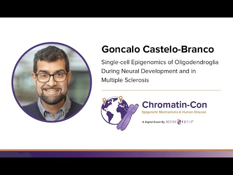 Goncalo Castelo-Branco - Single-cell Epigenomics of Oligodendroglia: Chromatin-Con 2021