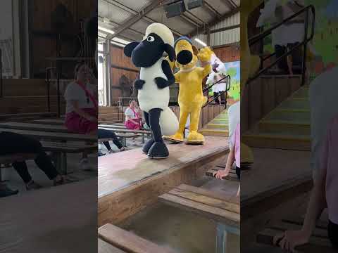 Shaun the sheep 😊 #trending #youtubeshorts #travel #viral