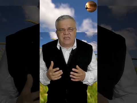 NOAPTEA CÂND VÂNTUL A VORBIT