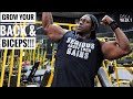 Build A Stronger Back & Bigger Biceps With This Workout | Day 4 - Week 1